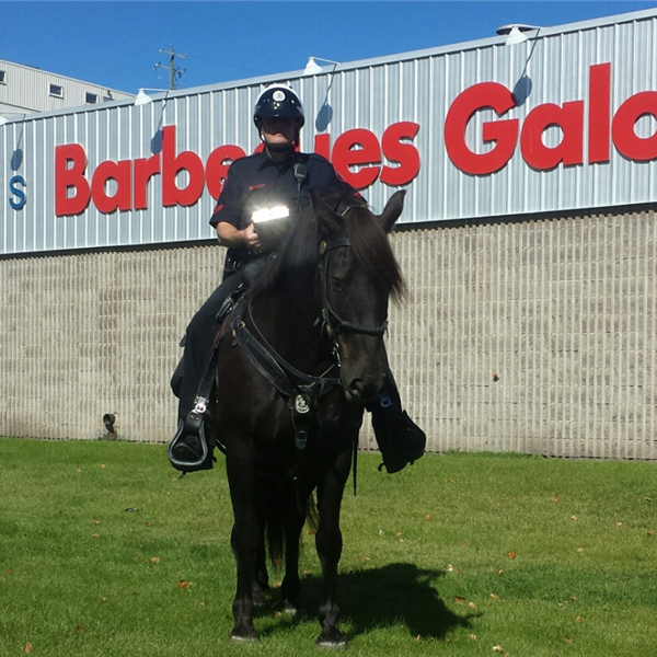 Barbecues Galore South Calgary Calgary, AB TrustReno